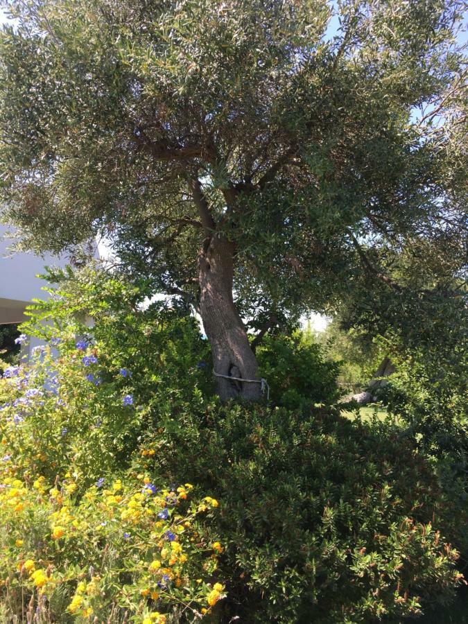 Nel Blu Dipinto Di Blu Villa Polignano a Mare Buitenkant foto